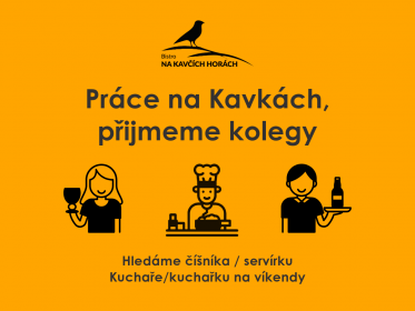Hledáš práci v příjemném bistru s fajn kolektivem?